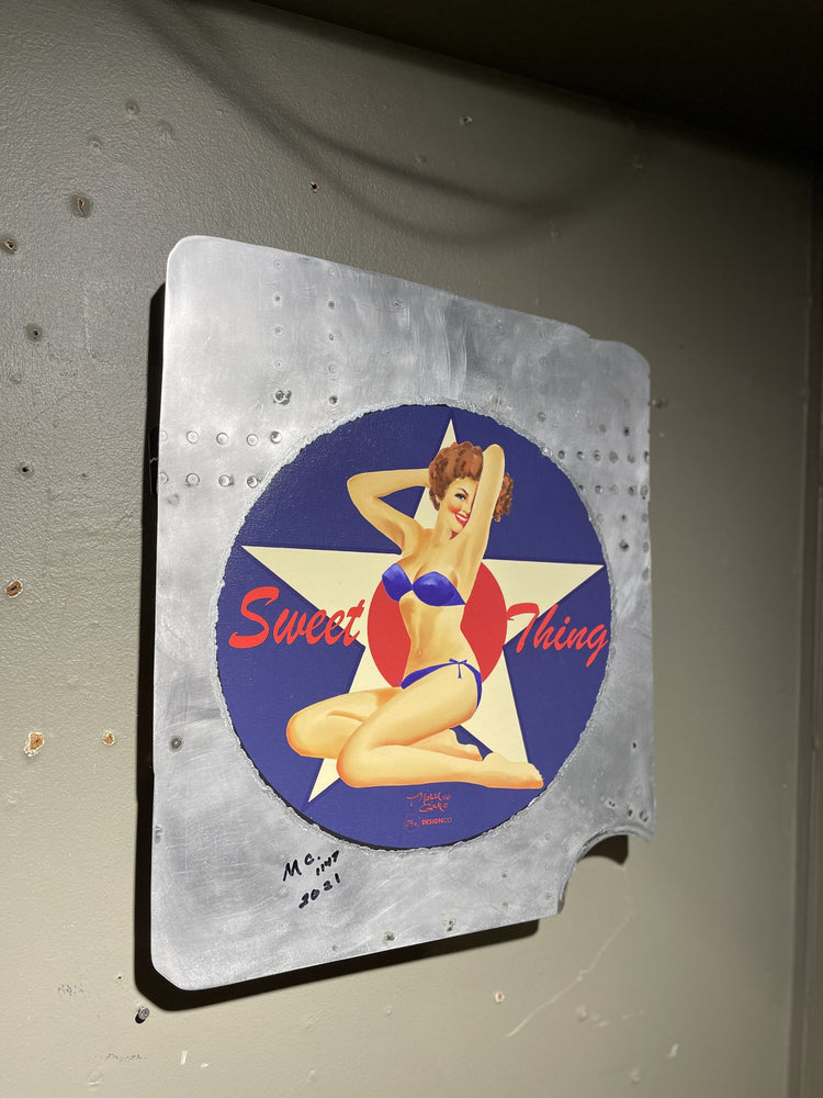 airplane panel pin-up art side view