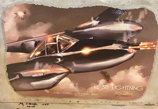 Michael Clark art airplane panel