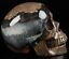 Dinasaur Egg Agate Skull